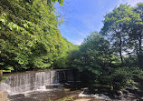 Yarrow Valley Country Park