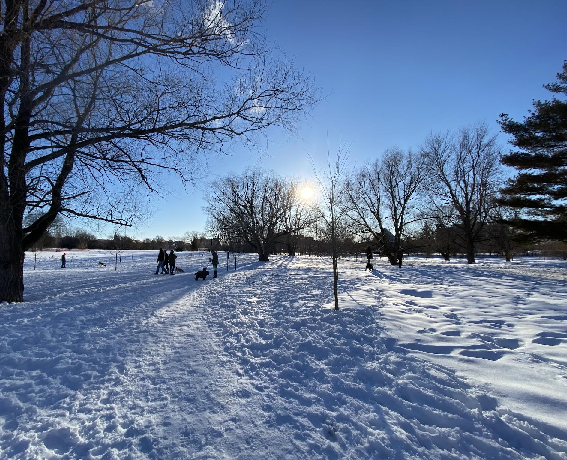 Stanley Dog Park