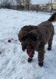 Tech Wall Dog Park