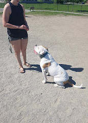 Shefford Road Dog Park