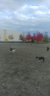 Shefford Road Dog Park