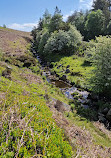 Cutthroat Bridge Car Park