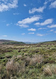 Cutthroat Bridge Car Park