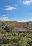 Cutthroat Bridge Car Park