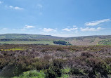 Cutthroat Bridge Car Park