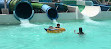 Aqualava Water Park