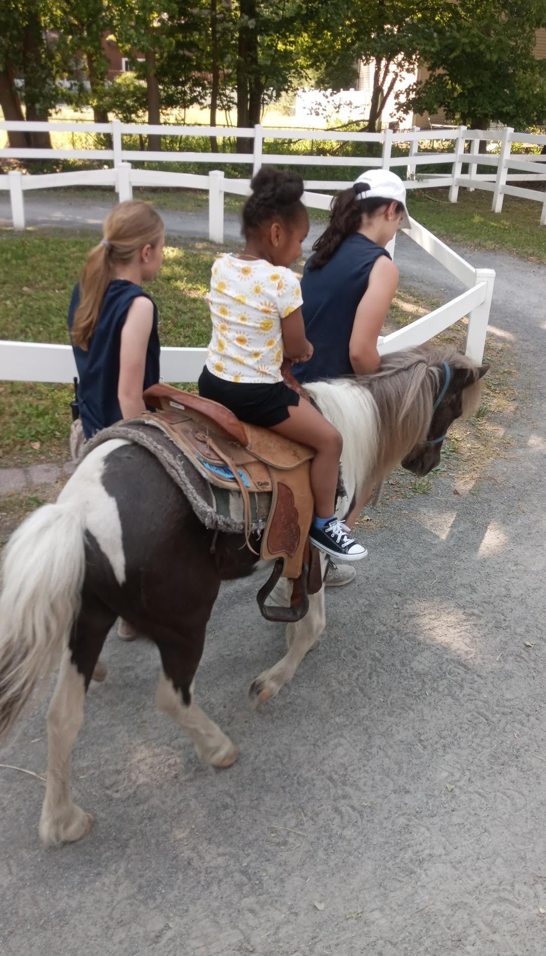 Pony ride