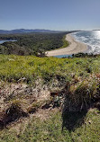 Boambee Headland Lookout