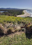 Boambee Headland Lookout