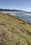 Boambee Headland Lookout