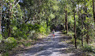 Korora Lookout