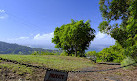 Korora Lookout