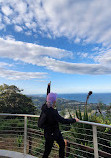 Korora Lookout