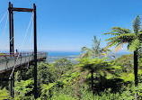 Forest Sky Pier