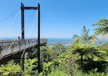 Forest Sky Pier