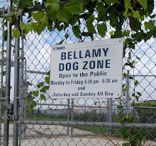 Bellamy-Hundezone