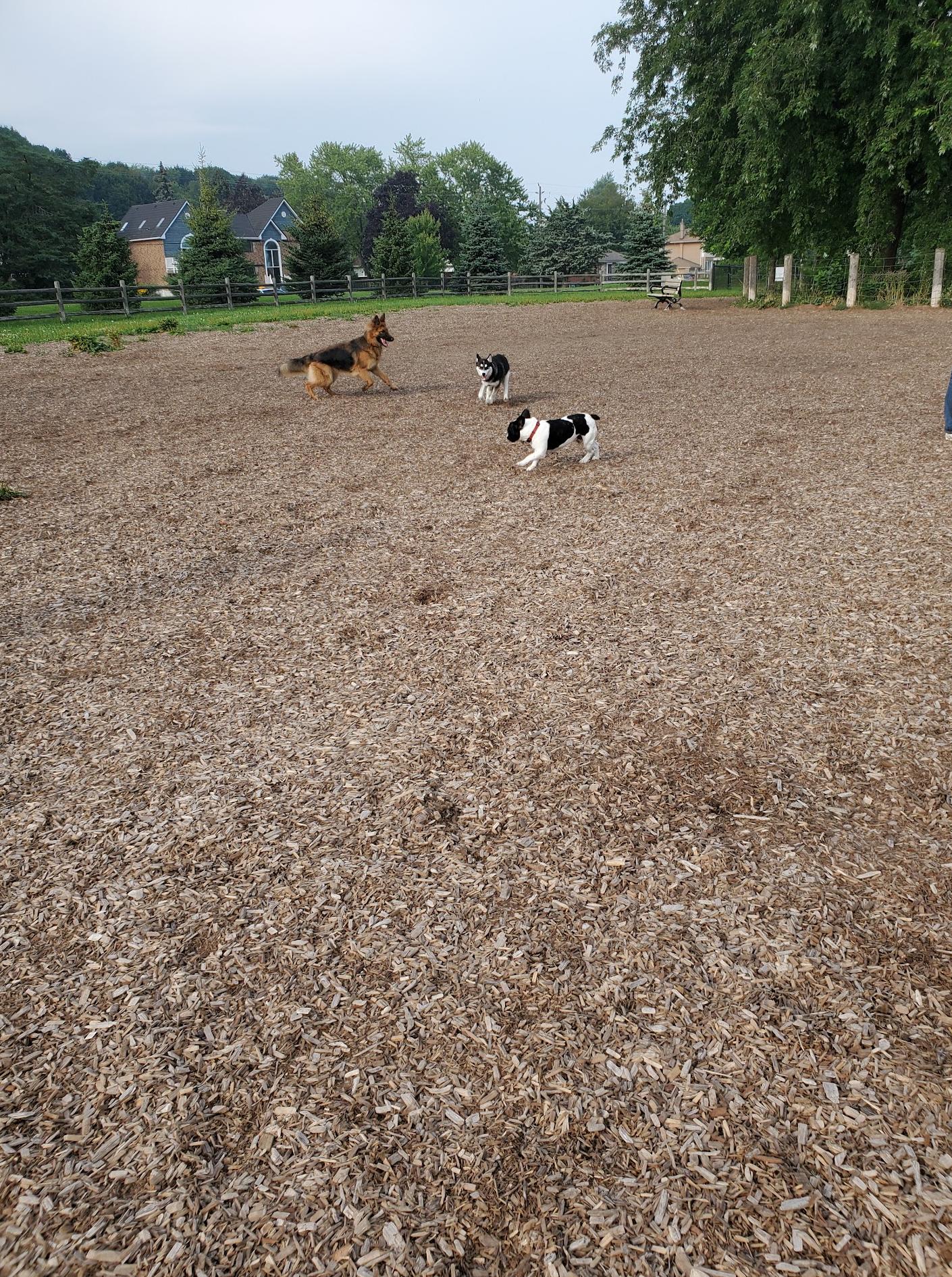 Scarborough Heights Park Off Leash Dog Park