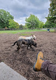 Scarborough Heights Park Off Leash Dog Park