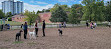 Scarborough Heights Park Off Leash Dog Park