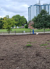 Scarborough Heights Park Off Leash Dog Park