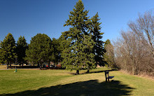 Scarborough Heights Park Off Leash Dog Park