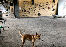 Burnley Bouldering Wall