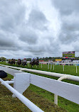 Uttoxeter Racecourse