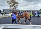 Uttoxeter Racecourse