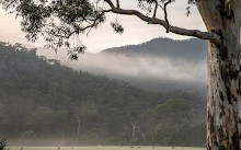 Heath House - Luxury in the Grampians, Halls Gap