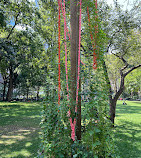 Madison Square Park