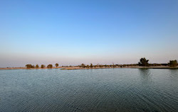 Al Qudra Lakes