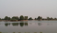 Flamingo Lake