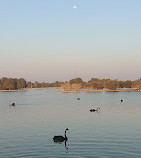 Flamingo Lake