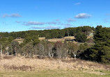 Scrivener Dam lookout