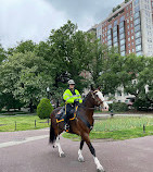 Boston Common