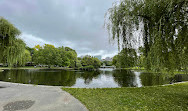 Boston Common