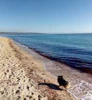 Seaford-strand