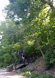 Grand Escalier du Mont Royal