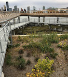 Pier 26 Tide Deck