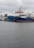 Fremantle Fishing Boat Harbour