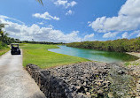 Iberostar Golf Course