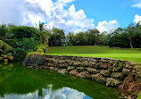 Iberostar Golf Course