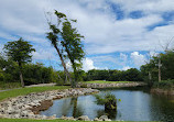 Iberostar Golf Course