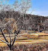 Braemar Golf Course