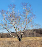 Braemar Golf Course