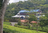 Wilehena Tea Factory