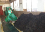 Wilehena Tea Factory