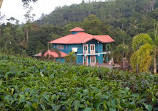 Wilehena Tea Factory