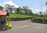 Wilehena Tea Factory