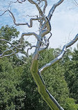 Crystal Bridges Museum of American Art